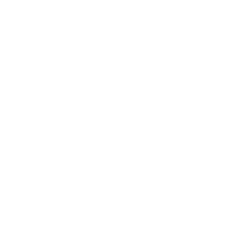 Corporate  Partner