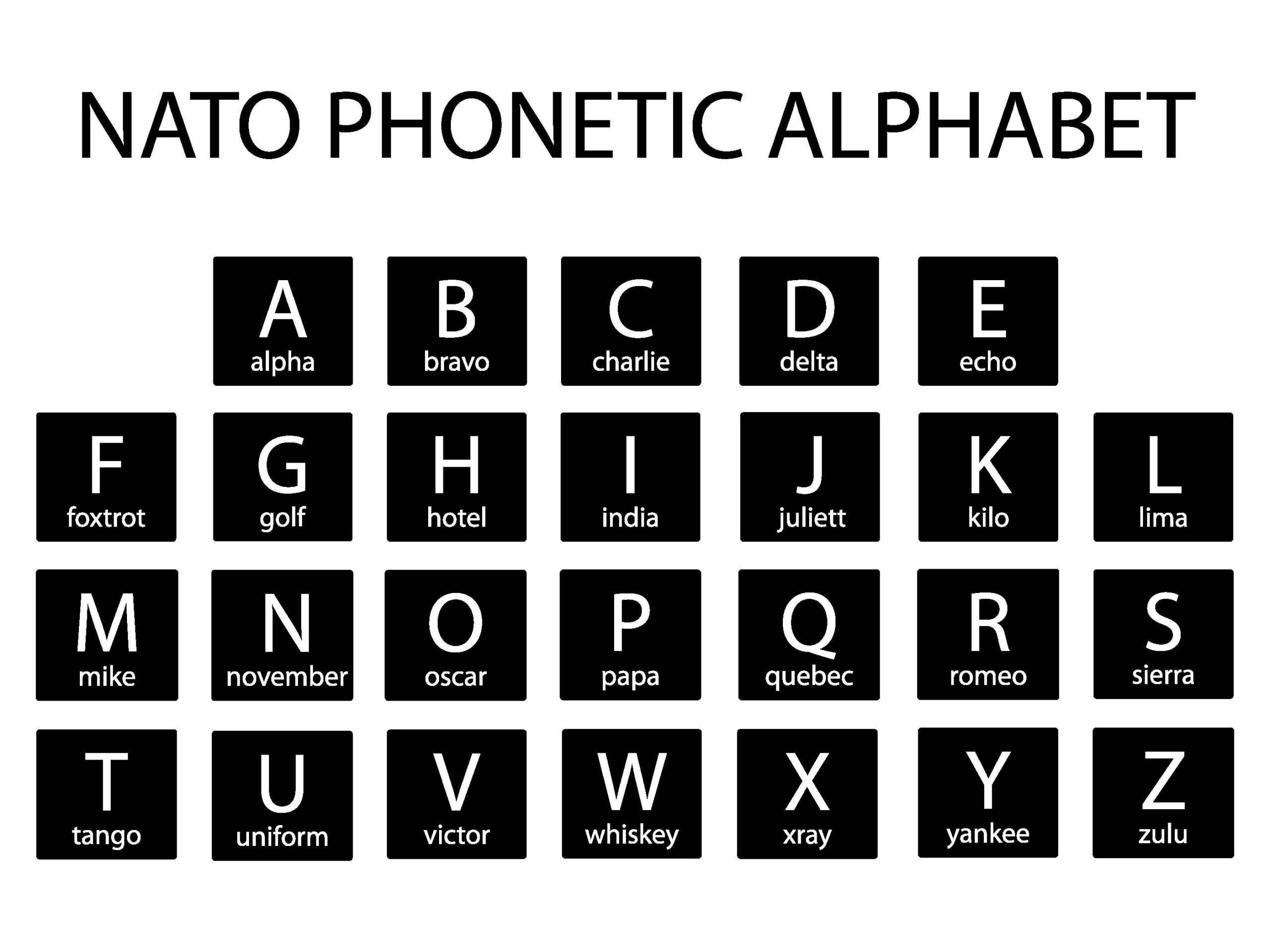 Naming our Cohorts and the Military Alphabet » Code Platoon